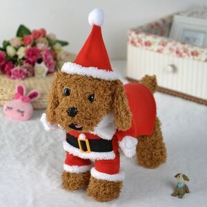 🎅🎄Santa Claus Standing Pet Costume🎄🎅
